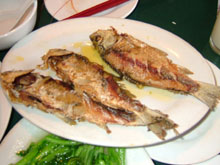 煎時魚